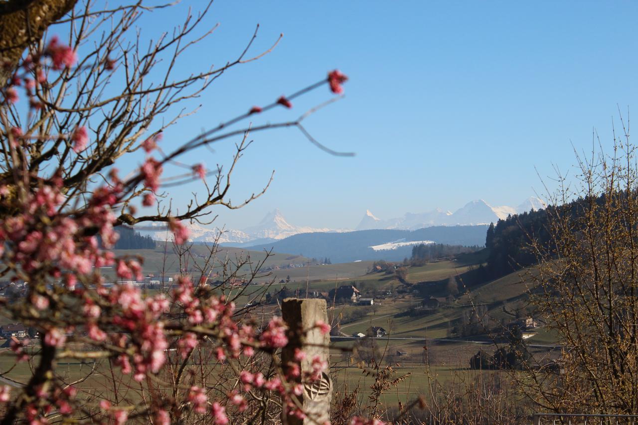 Restaurant Hotel Ruettihubelbad Walkringen エクステリア 写真
